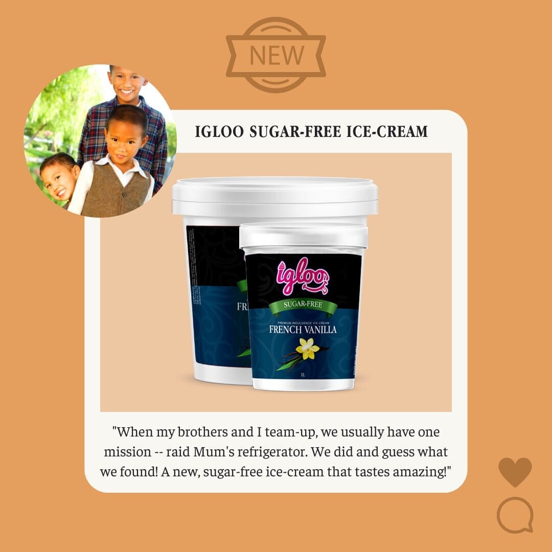Igloo Sugar Free Premium Ice Cream - Image 7