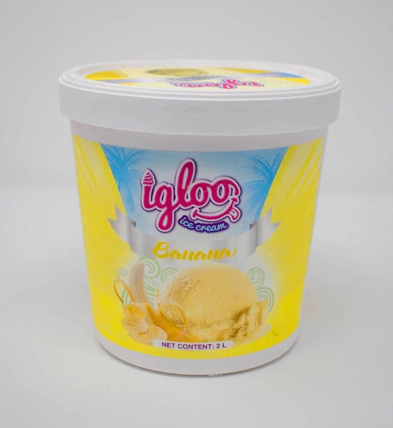 Igloo Ice Cream - Image 10