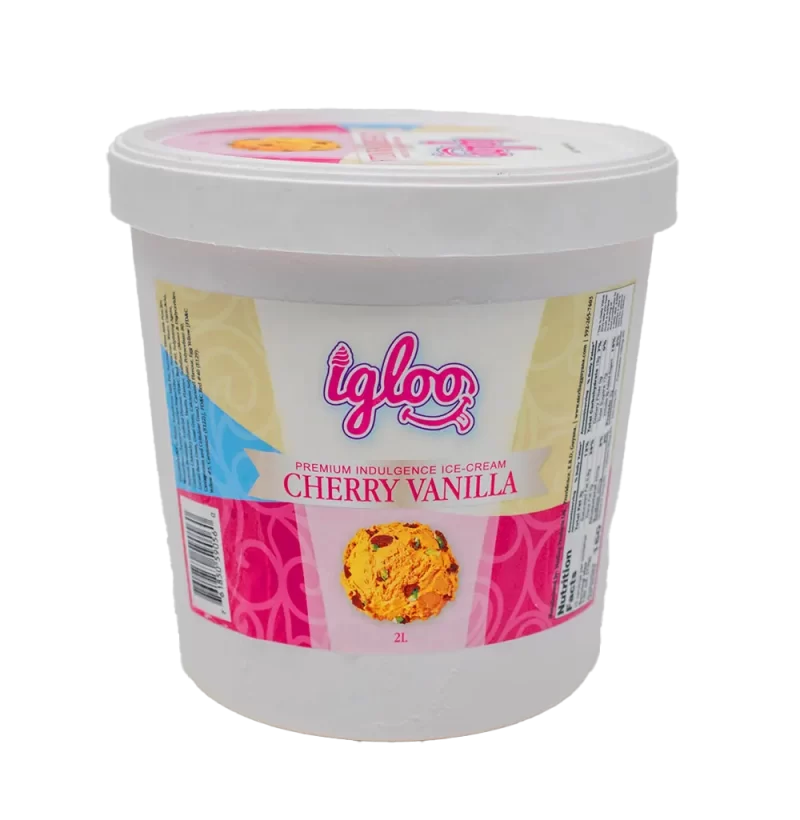 Igloo Inclusion Ice Cream